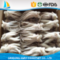 Size 400 -600g frozen Argentina Squid Head